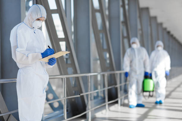 Best Water Damage & Mold Remediation  in Dayton, TN