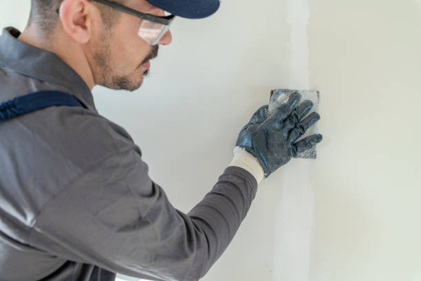 Best Attic Mold Removal  in Dayton, TN