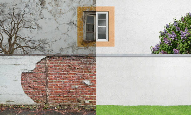 Best Mold Damage Restoration  in Dayton, TN