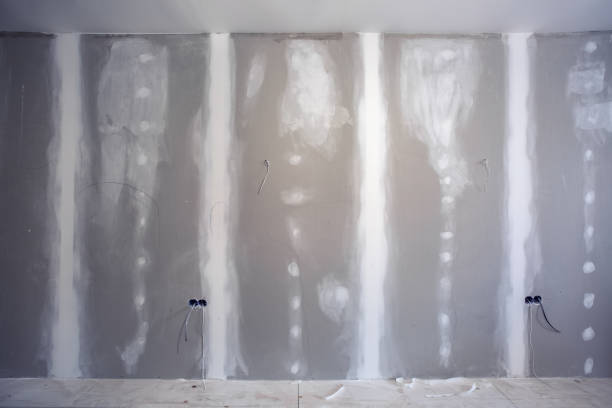 Best Mold Remediation for Vacation Homes  in Dayton, TN